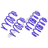 AP pružiny pre Omega (B, V94) so znížením 40/00mm