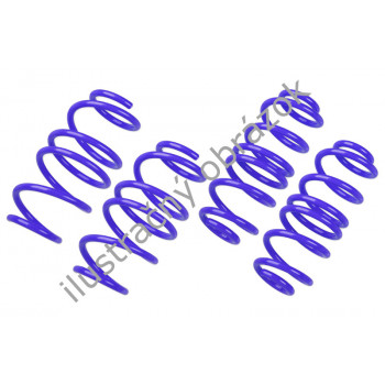 AP pružiny pre TT (8J) so znížením AP pružiny pre TT (8J) so znížením