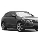 Audi Q5 (08-17)