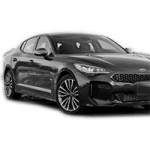 Kia Stinger (18-xx)